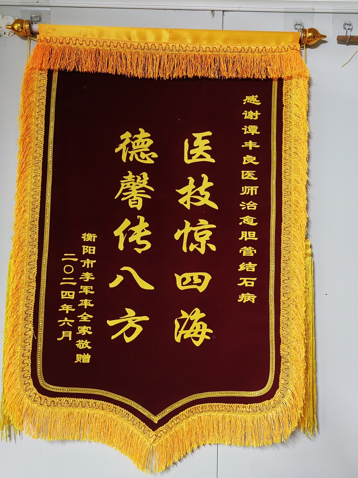 患者赠送谭丰良医师锦旗16